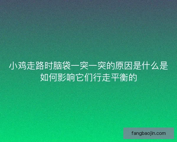 小鸡走路时脑袋一突一突的原因是什么是如何影响它们行走平衡的