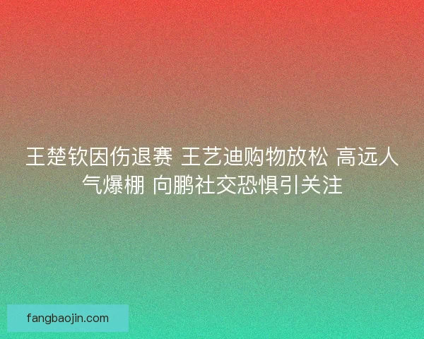 王楚钦因伤退赛 王艺迪购物放松 高远人气爆棚 向鹏社交恐惧引关注